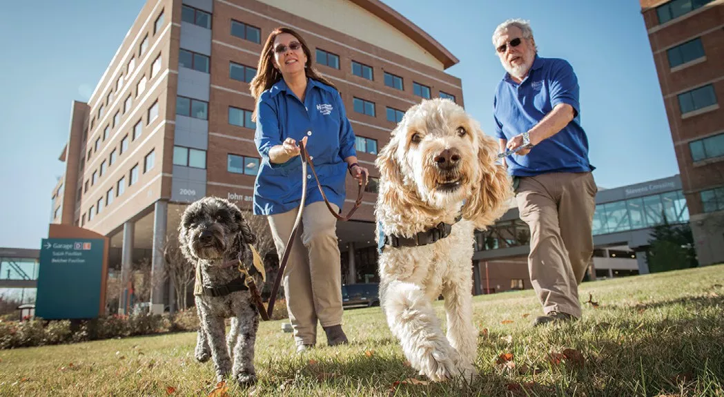 pet therapy