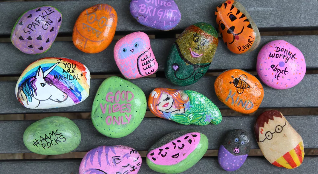 Kindness Rocks Project