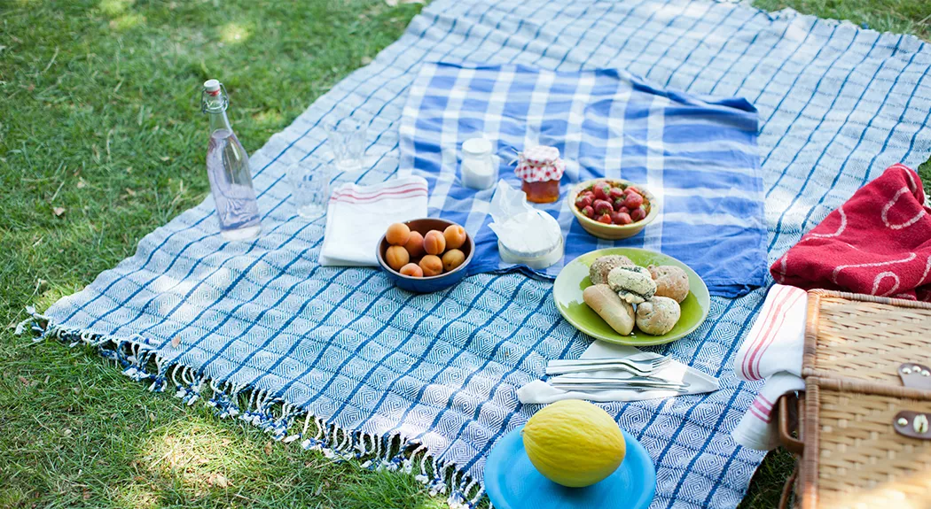 picnic blanket