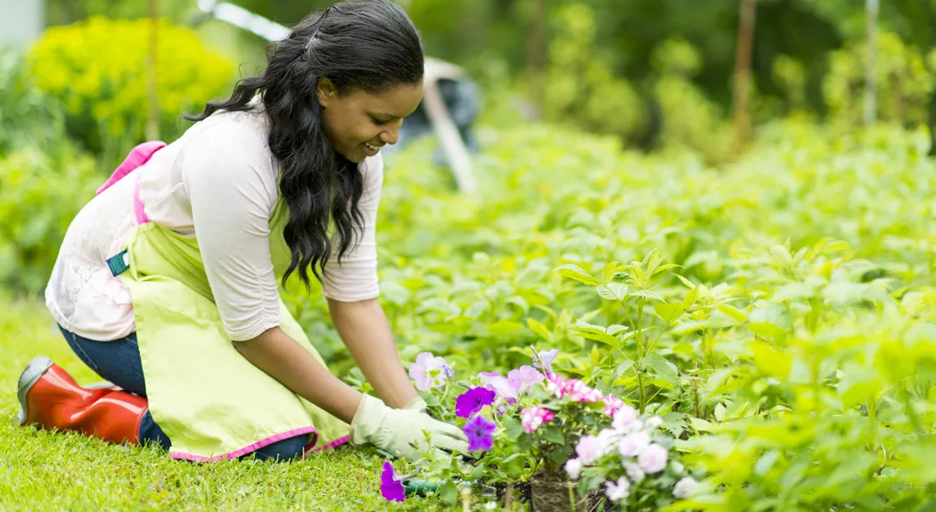 Gardening